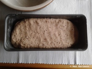 Sauerteigbrot selber backen8