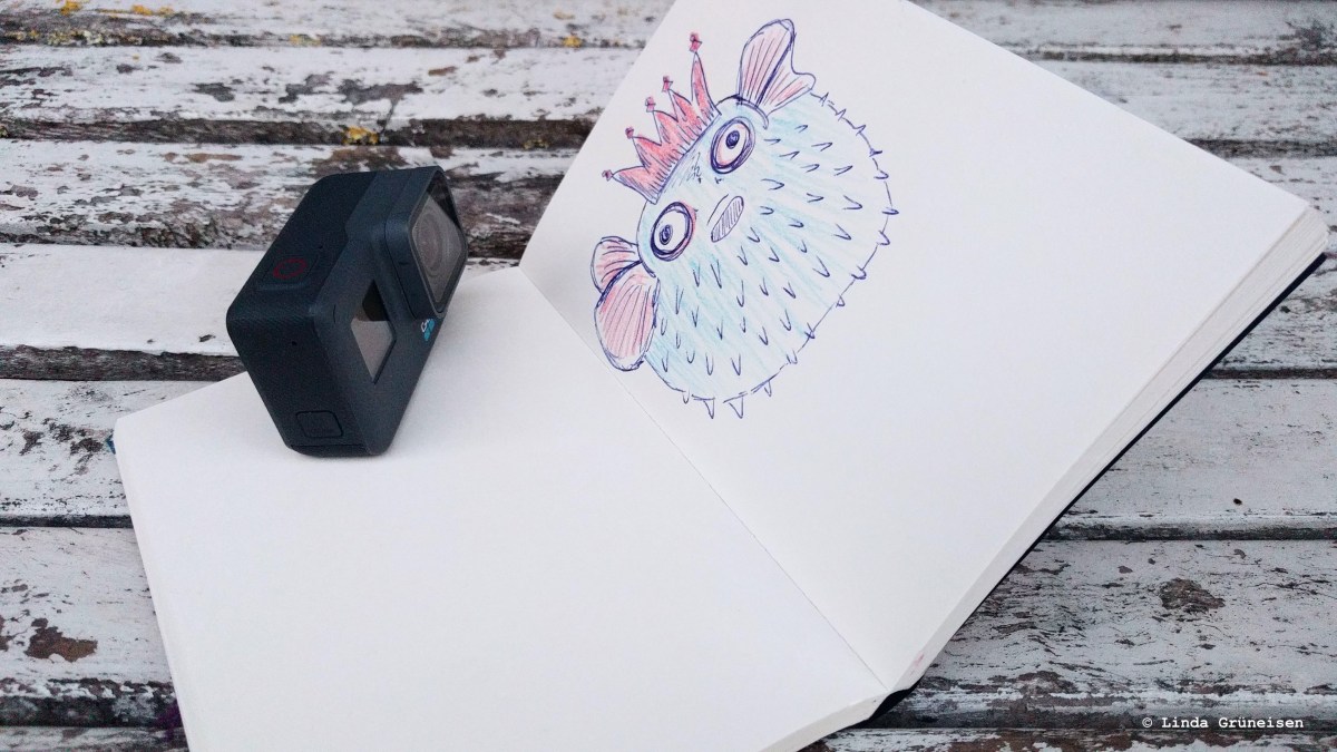 Die Kugelfisch-Taktik einer Action-Kamera | ausgepackt und&nbsp;nachgefragt