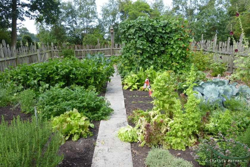 Bild 2 Der Gemüsegarten