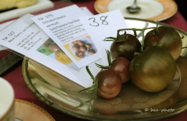 Tomatenverkostung bei Renate Düring, VEN.