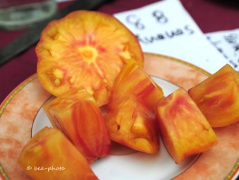 Tomatenverkostung mit Ananastomate