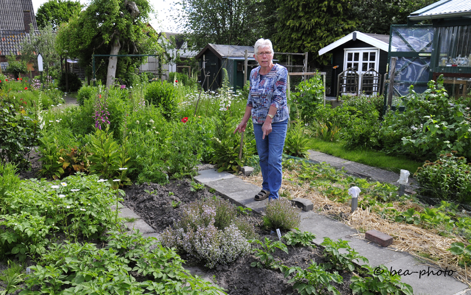 Erst erhalten, dann&nbsp;verzehren!