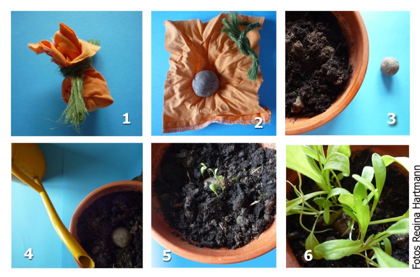 Seedball auspacken und einpflanzen.