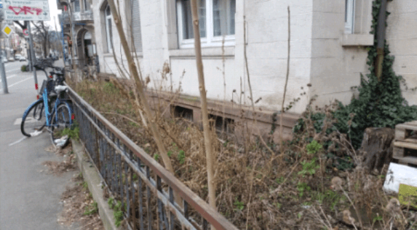 Stadt – Land –&nbsp;Garten