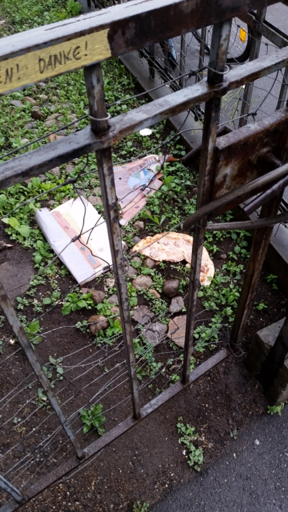weggeworfene Pizza im Garten