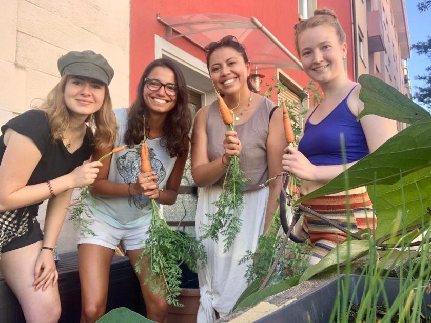 Vorgarten in Freiburg mit Ecoalas