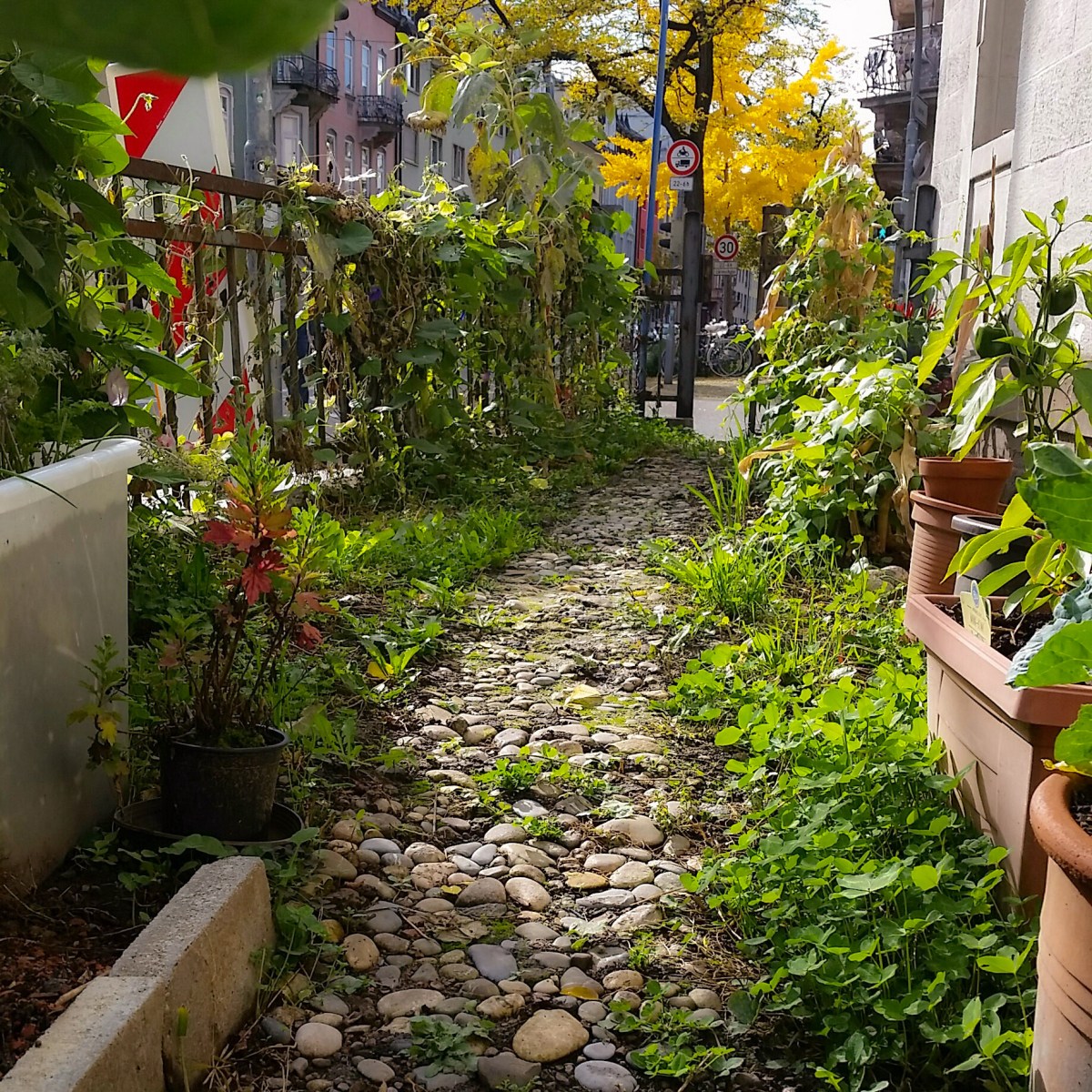Stadt – Land – Garten 4 – Das&nbsp;Finale