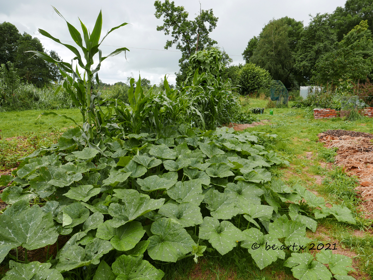 Die buckelige Verwandschaft – 3&nbsp;Schwestern