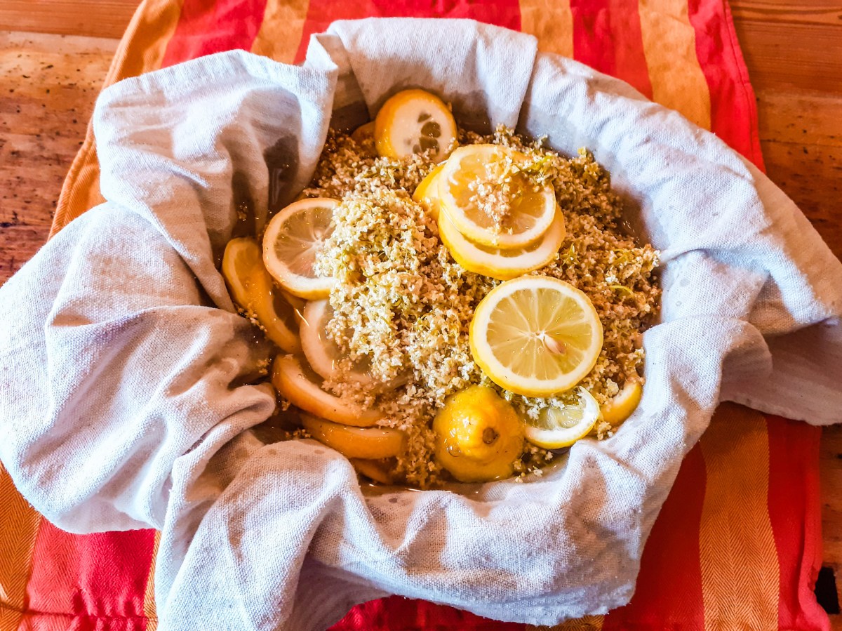 Holunderblütensirup